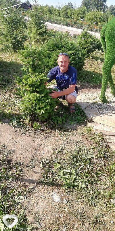 ���� 41422411 ������� �����, 41 ���, ���� ���������� � �������������