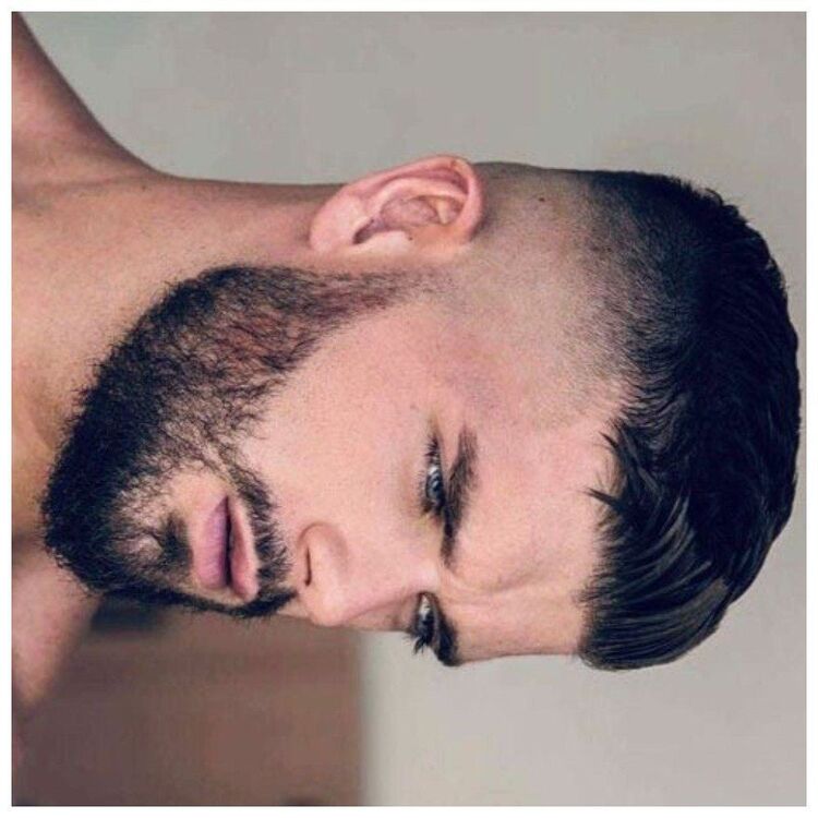 ���� 54008931 ������� �����, 36 ���, ���� ���������� � ��������