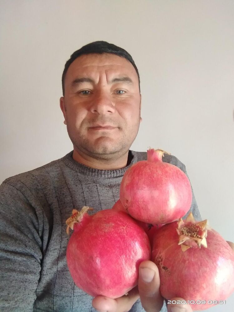  ,   Abror, 43 ,   ,   