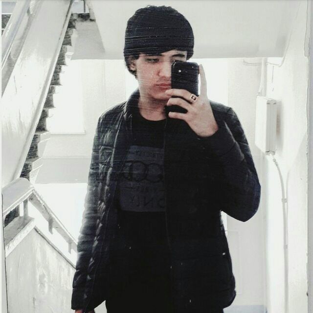 ���� 19768981 ����� ����, 24 ����, ���� ���������� � ��������