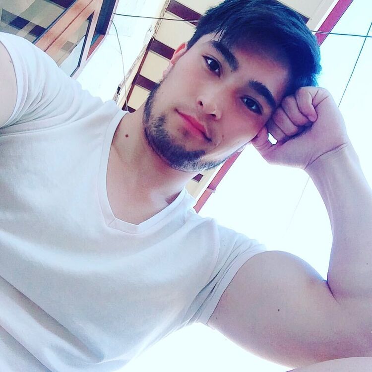 ���� 31198491 ������� ������, 31 ���, ���� ���������� � ��������