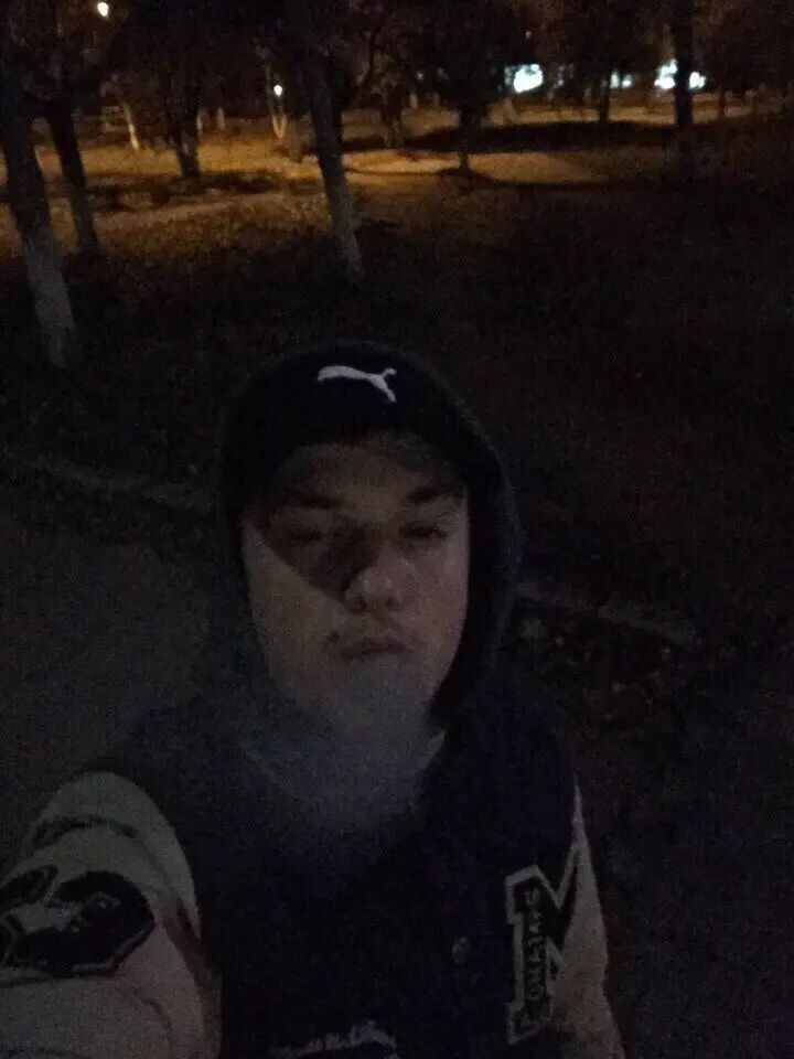  33969731  , 28 ,    