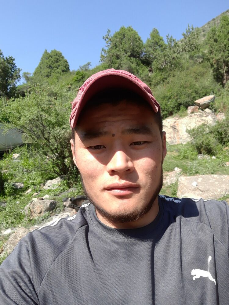 ���� 20801731 ������� �������, 31 ���, ���� ���������� � �������