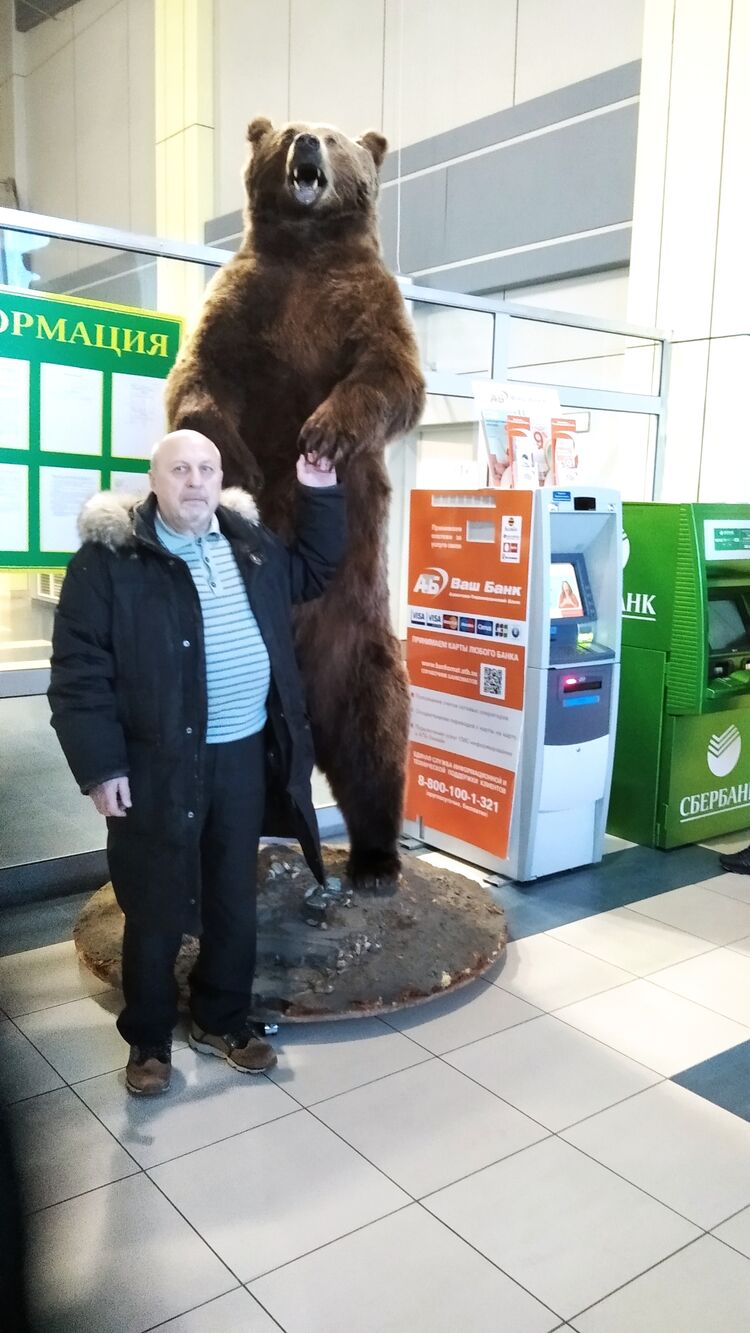 ���������� �����������, ���� ������� ��������, 68 ���, ������������ ��� ����� � ���������, c�������� ���������, ���������