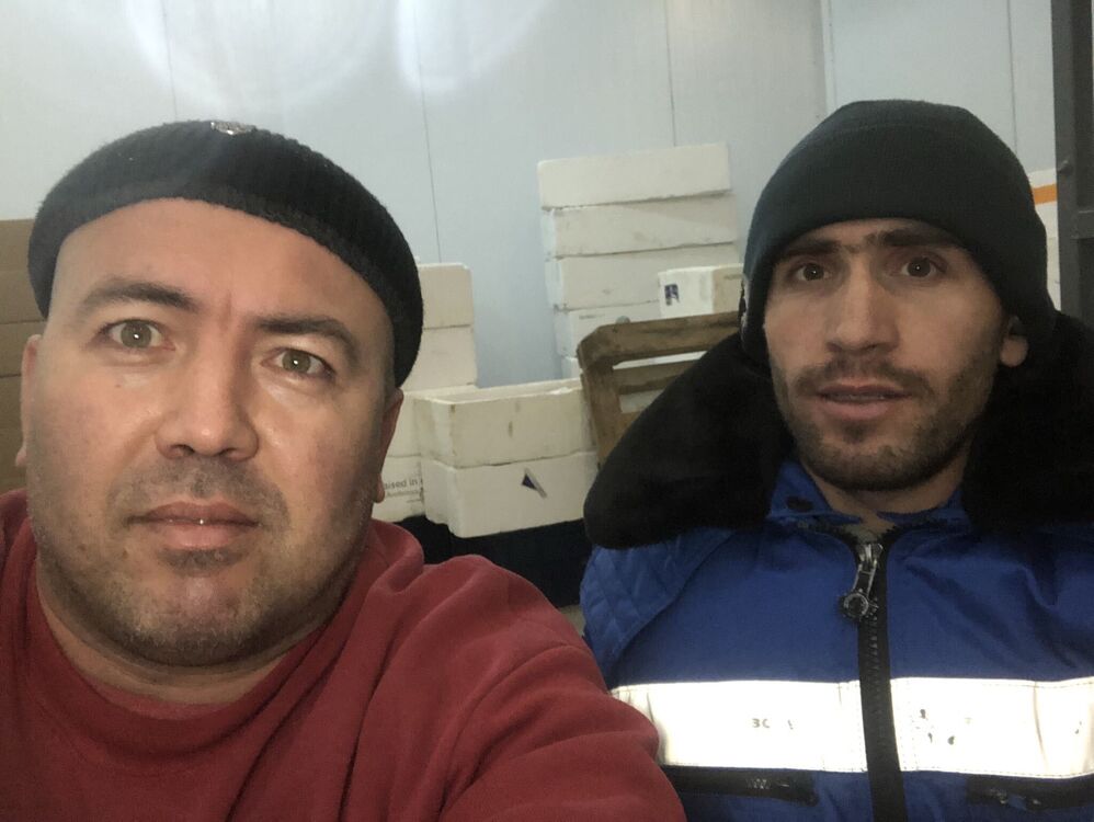 ���� 44797041 ������� �������, 44 ����, ���� ���������� � ������