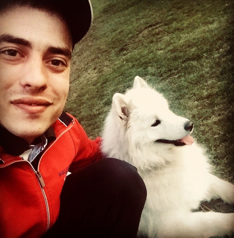 ���� 16889991 ������� Lexa, 35 ���, ���� ���������� � ��������