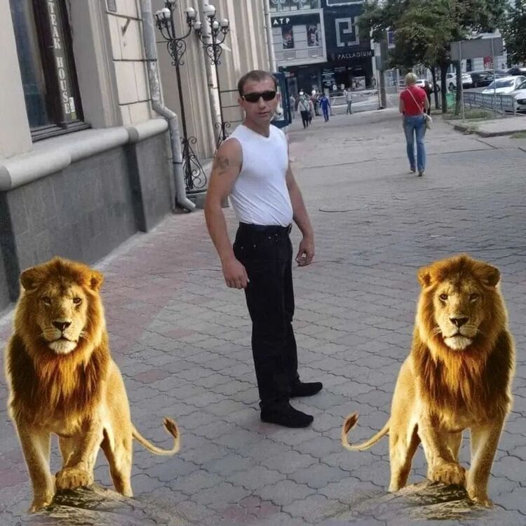 ���� 32738931 ������� �����, 48 ���, ���� ���������� � ������ ���������