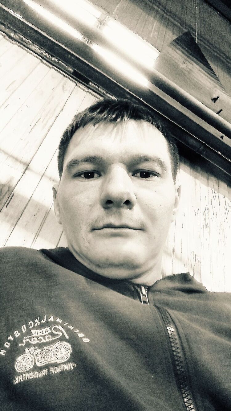  51684391  , 31 ,    