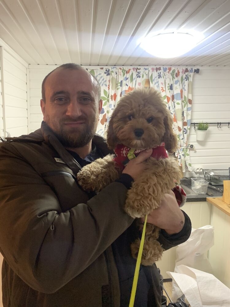 ���� 31397341 ������� ������, 37 ���, ���� ���������� � ������