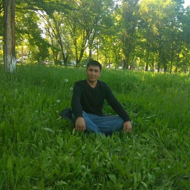 ���� 17431701 ������� ������� ����, 39 ���, ���� ���������� � �������