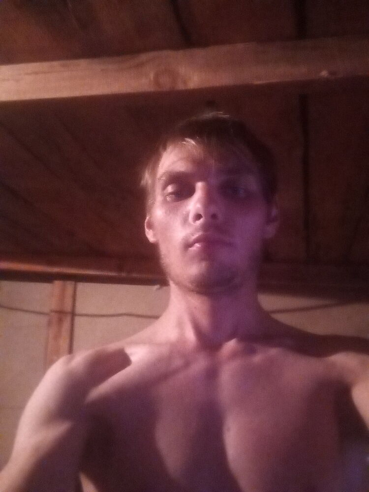  44240381  , 22 ,    