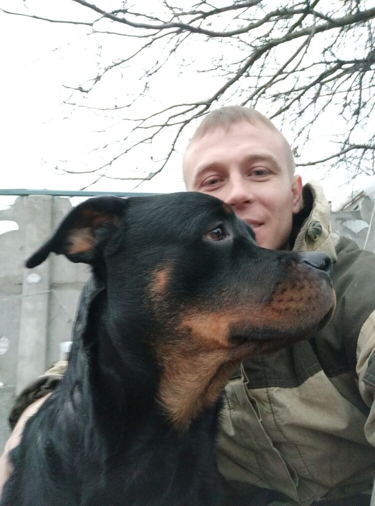 ���������� ������, ���� ������� ��������, 37 ���, ������������ ��� ������, ����� � ���������