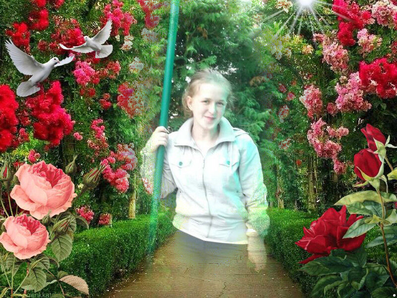  ,   , 31 ,  