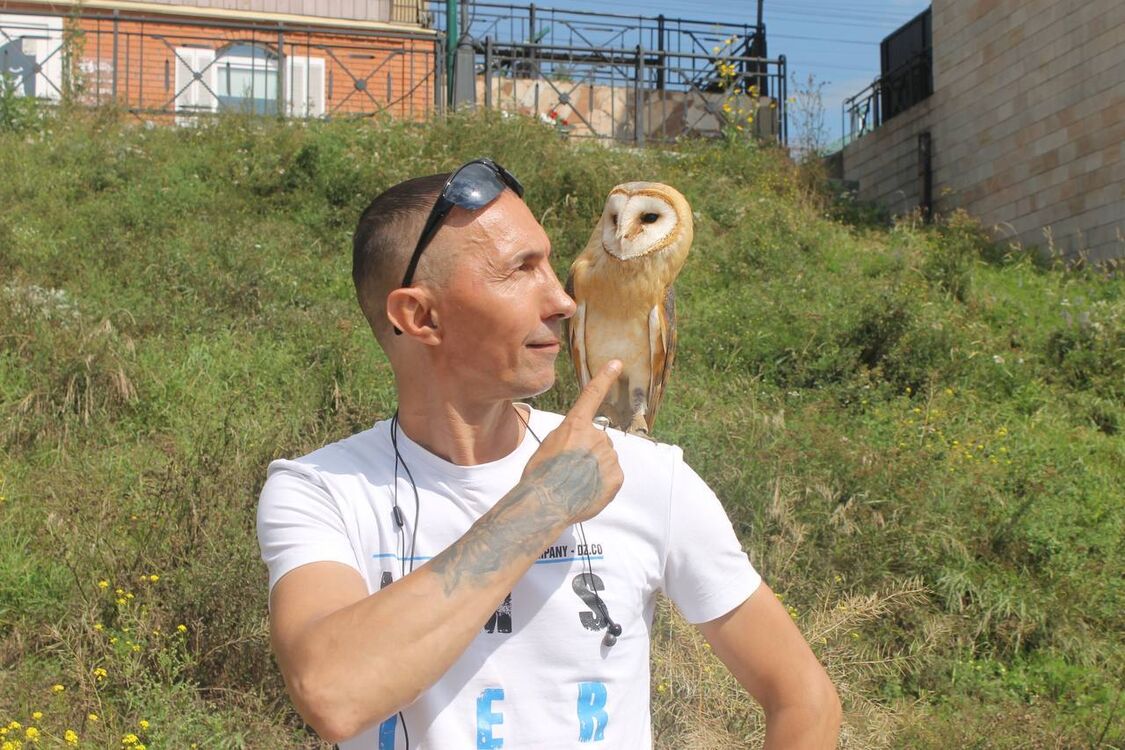 ���������� �������, ���� ������� �������, 47 ���, ������������ ��� ������, ����� � ���������, c�������� ���������, ���������