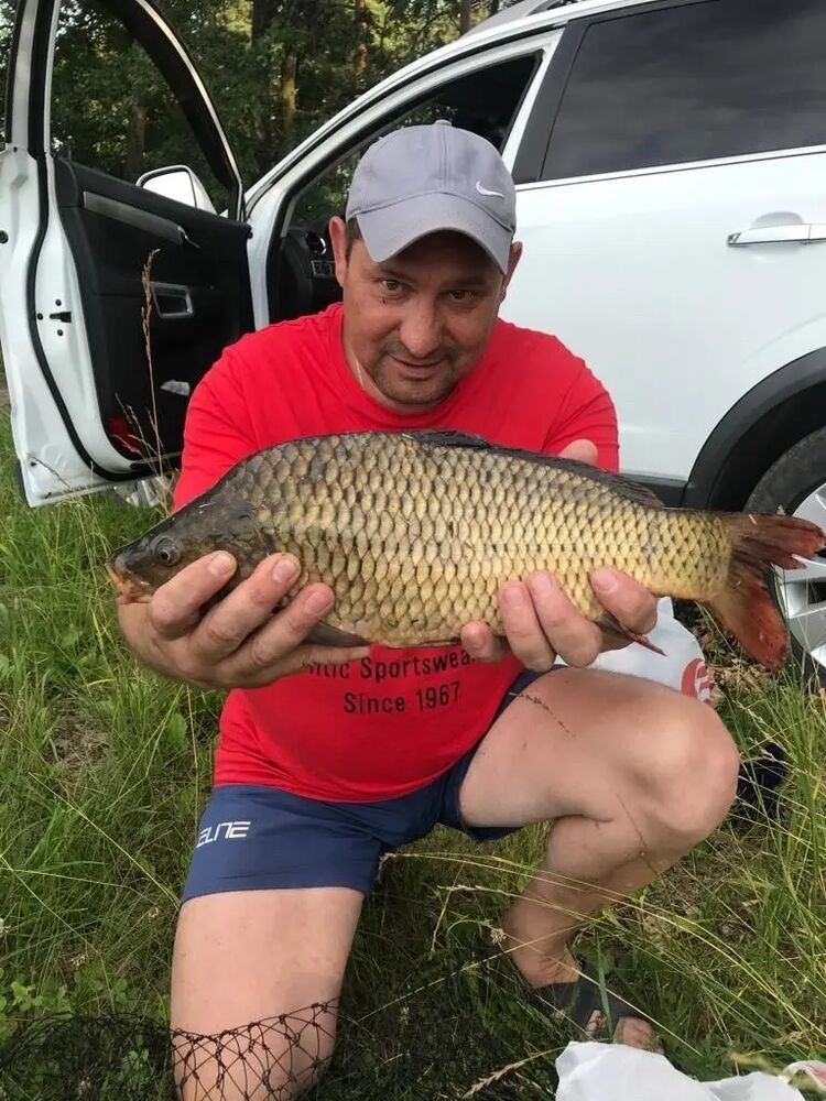 ���� 50484181 ������� �������, 52 ����, ���� ���������� � �����