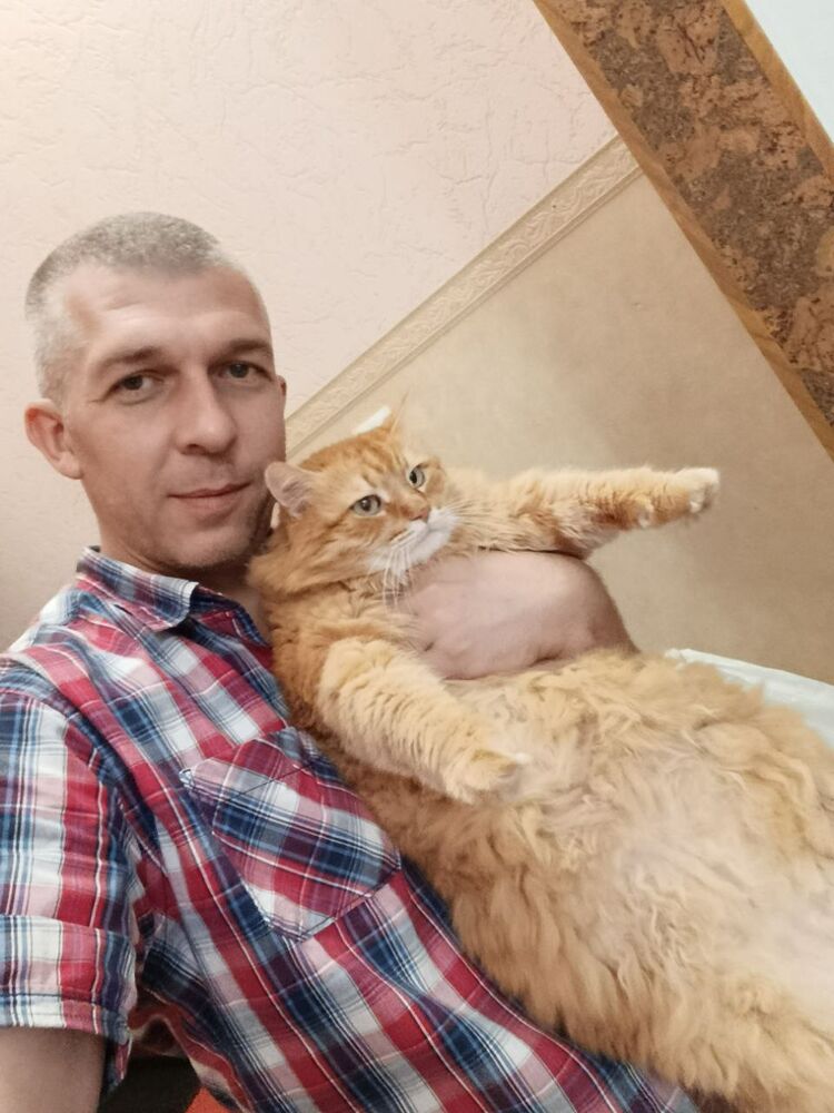  53546721  , 44 ,    