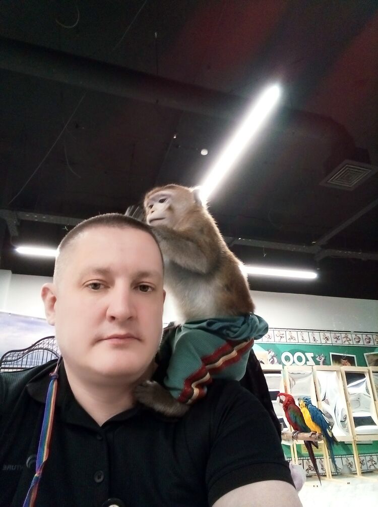 ���������� �����, ���� ������� �����, 43 ����, ������������ ��� ������, ����� � ���������, c�������� ���������