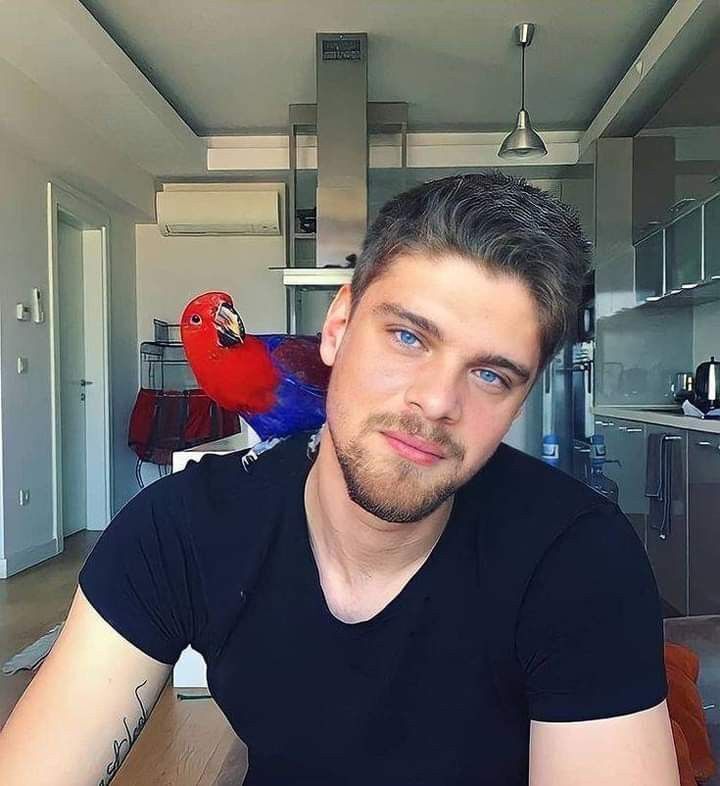  54366561  Moon, 36 ,    