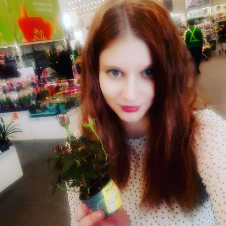 ���� 42582951 ������� ������, 31 ���, ���� ���������� � ��������