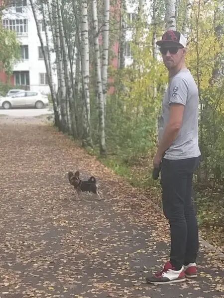 ���� 29189691 ������� �����, 42 ����, ���� ���������� � �����