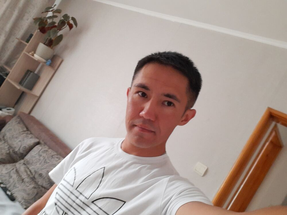  45150091  , 38 ,    -
