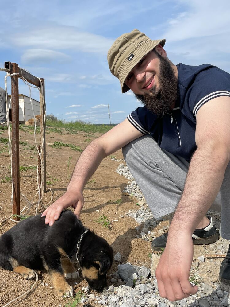 ���� 35173211 ������� ����, 27 ���, ���� ���������� � ����