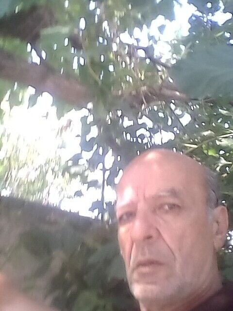  21563701  Colak, 65 ,    