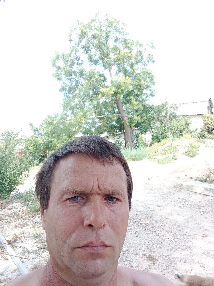 ���� 23555011 ������� ����, 48 ���, ���� ���������� � �����������