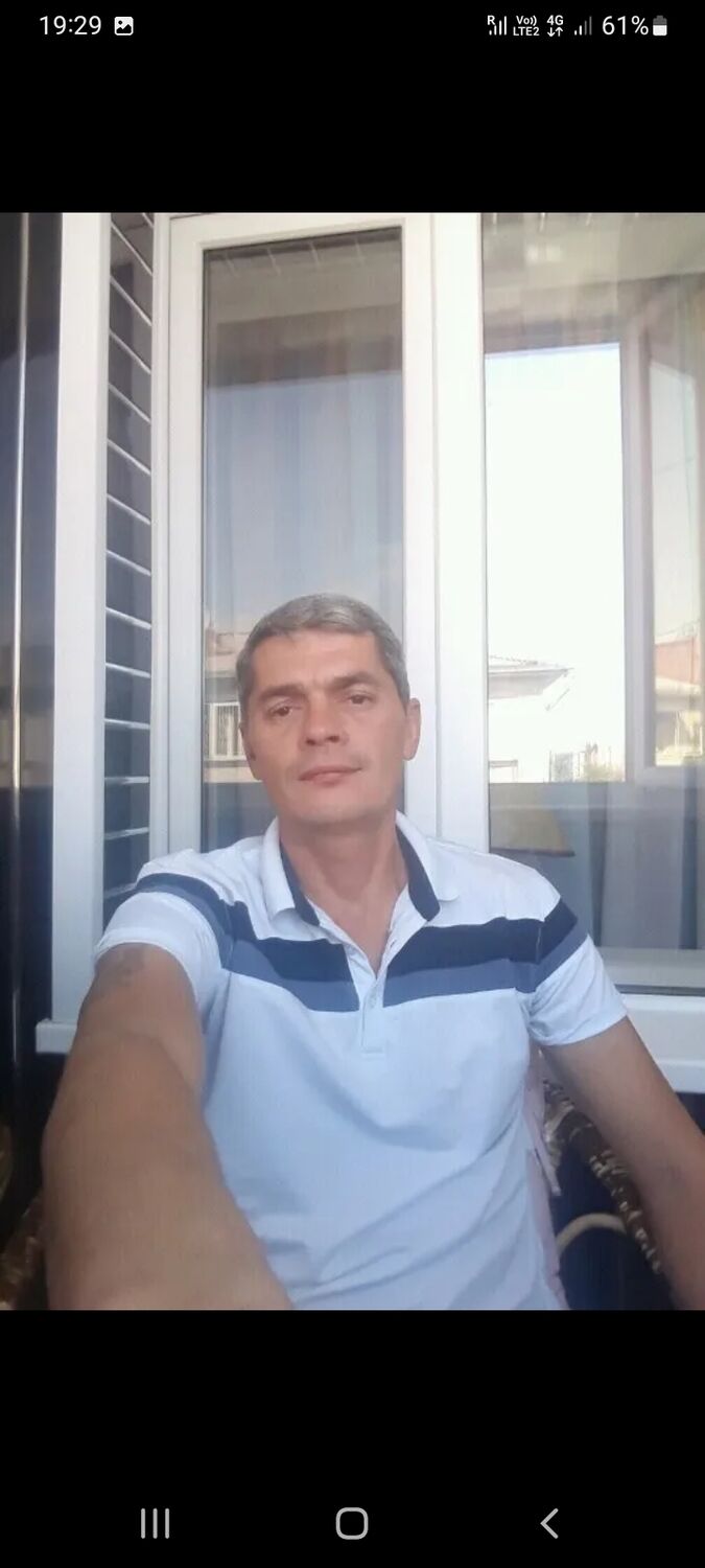  38781591  , 50 ,    