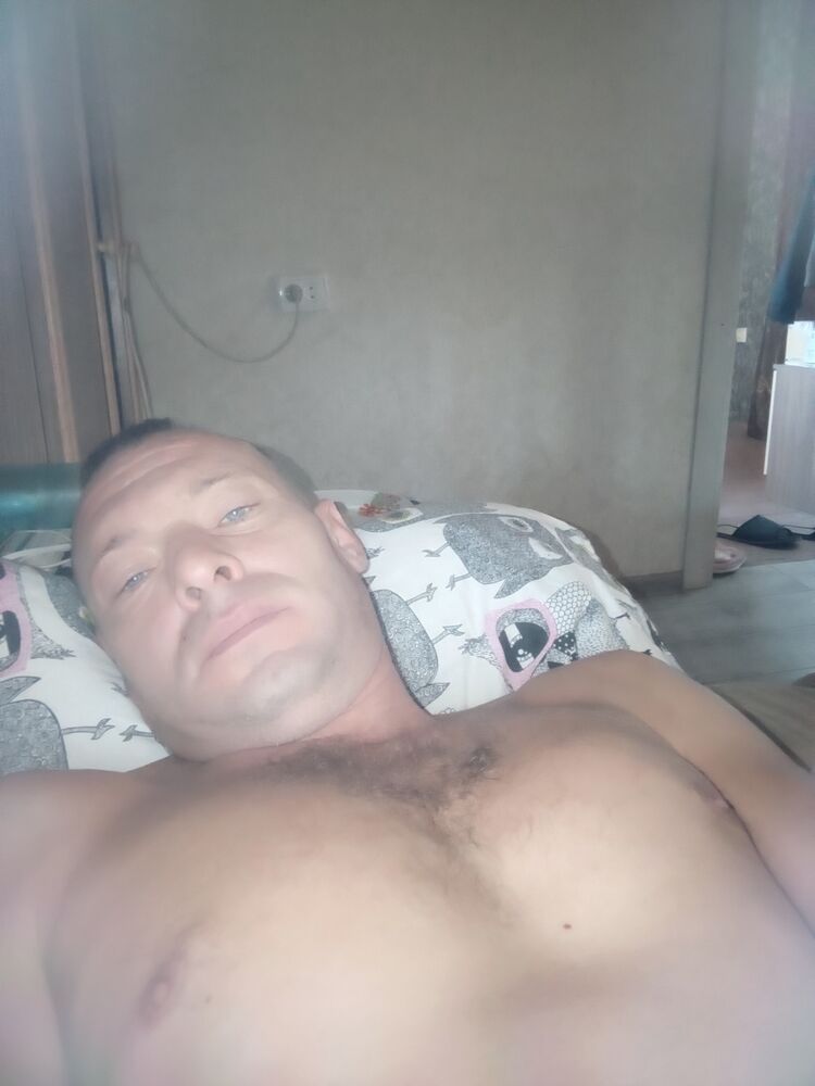  39033551  , 43 ,    