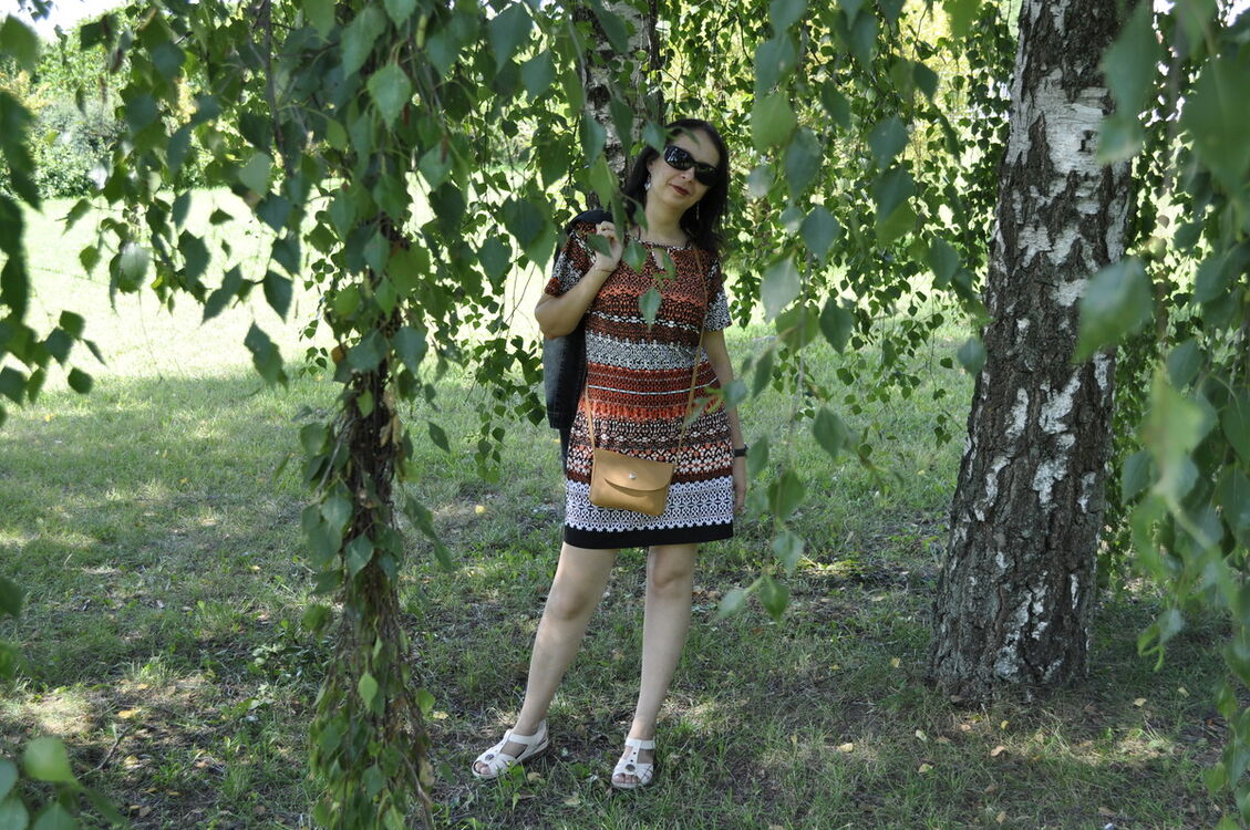  ,   , 43 ,  
