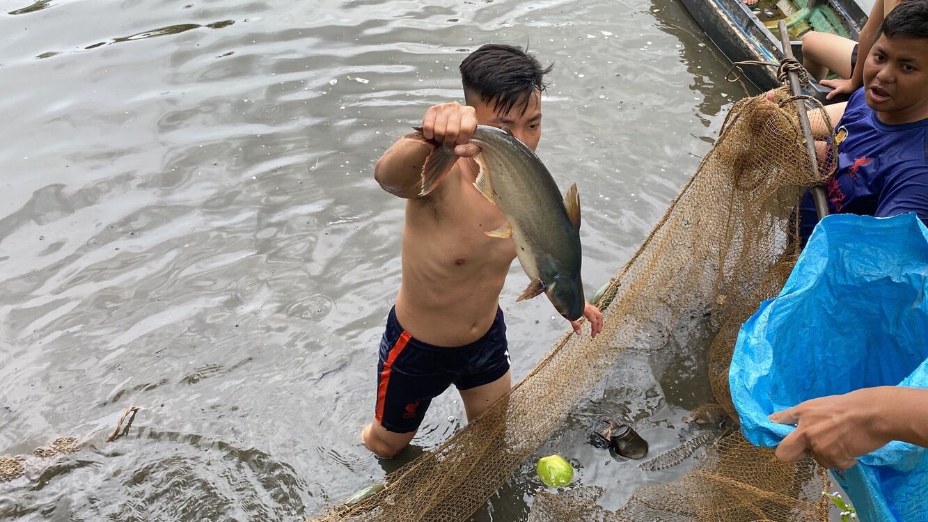 ���������� Can Tho, ���� ������� Dat, 26 ���, ������������ ��� ������, ����� � ���������