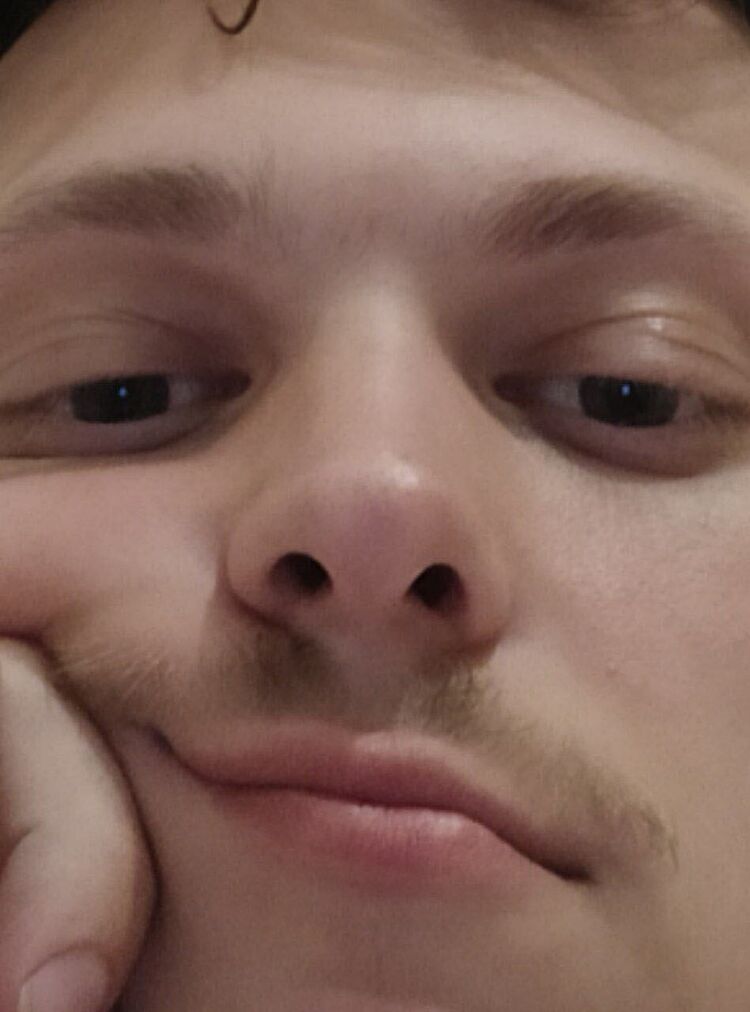 ���������� ������, ���� ����� ��������, 24 ����, ������������ ��� ������, ����� � ���������, ���������