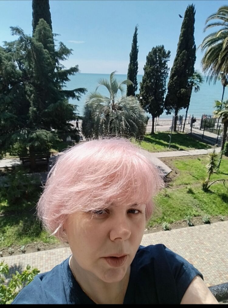  53997831  , 99 ,    -