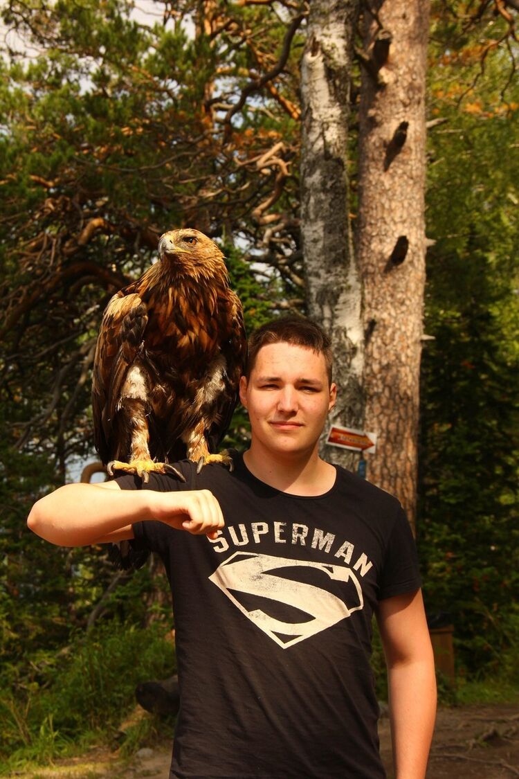 ���� 8784371 ������� ���������, 28 ���, ���� ���������� � �����-����������