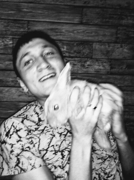 ���������� ���������� �����, ���� ������� �������, 31 ���, ������������ ��� ������, ����� � ���������, c�������� ���������, ���������