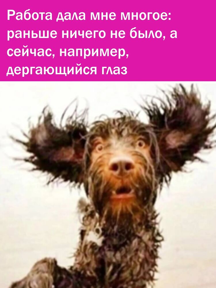 ���� 40889681 ������� ������, 28 ���, ���� ���������� � �����