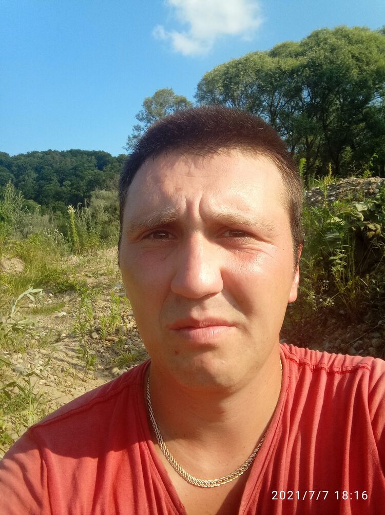 23392691  , 31 ,    