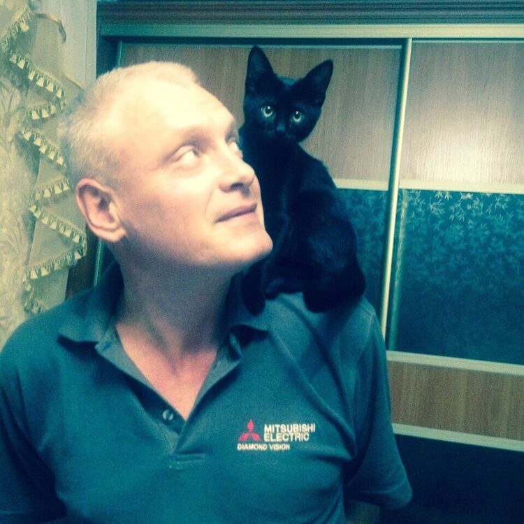 ���� 20513551 ������� �������, 50 ���, ���� ���������� � �����������