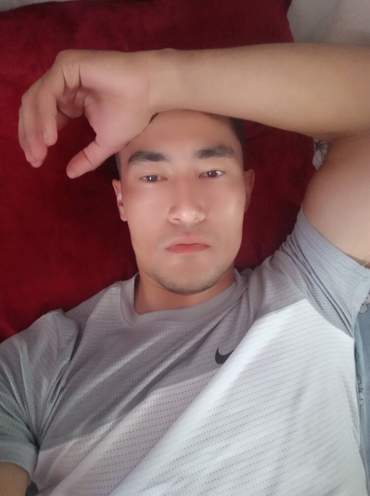  43539151  , 31 ,    