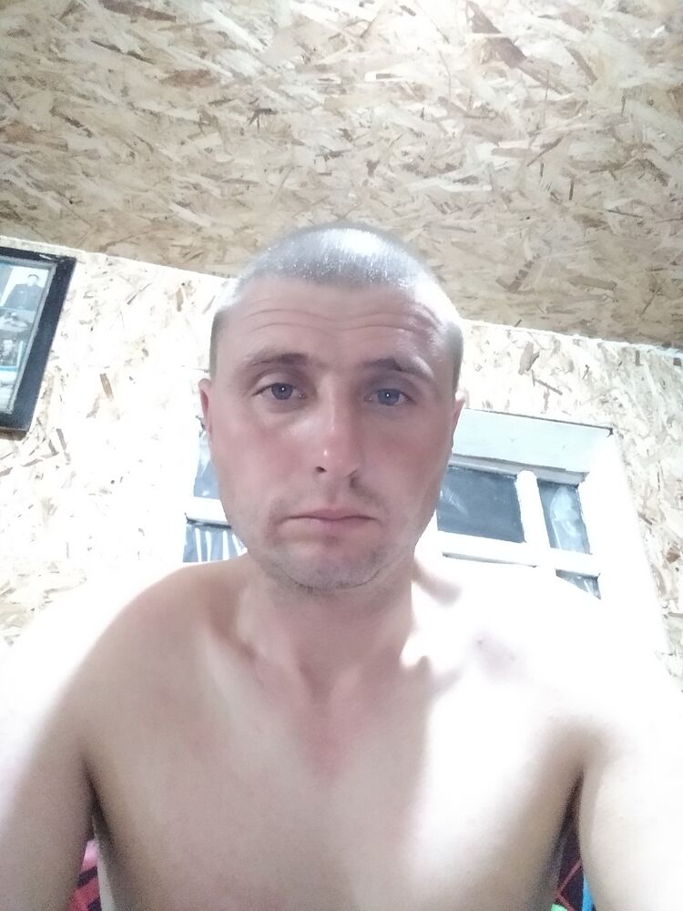  43369431  , 36 ,    