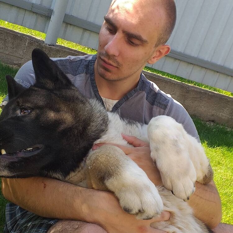 ���� 22218011 ����� ������, 24 ����, ���� ���������� � ������