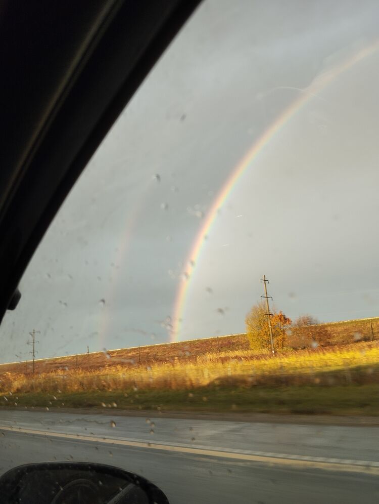 ���� 41877501 ������� �������, 47 ���, ���� ���������� � ����������