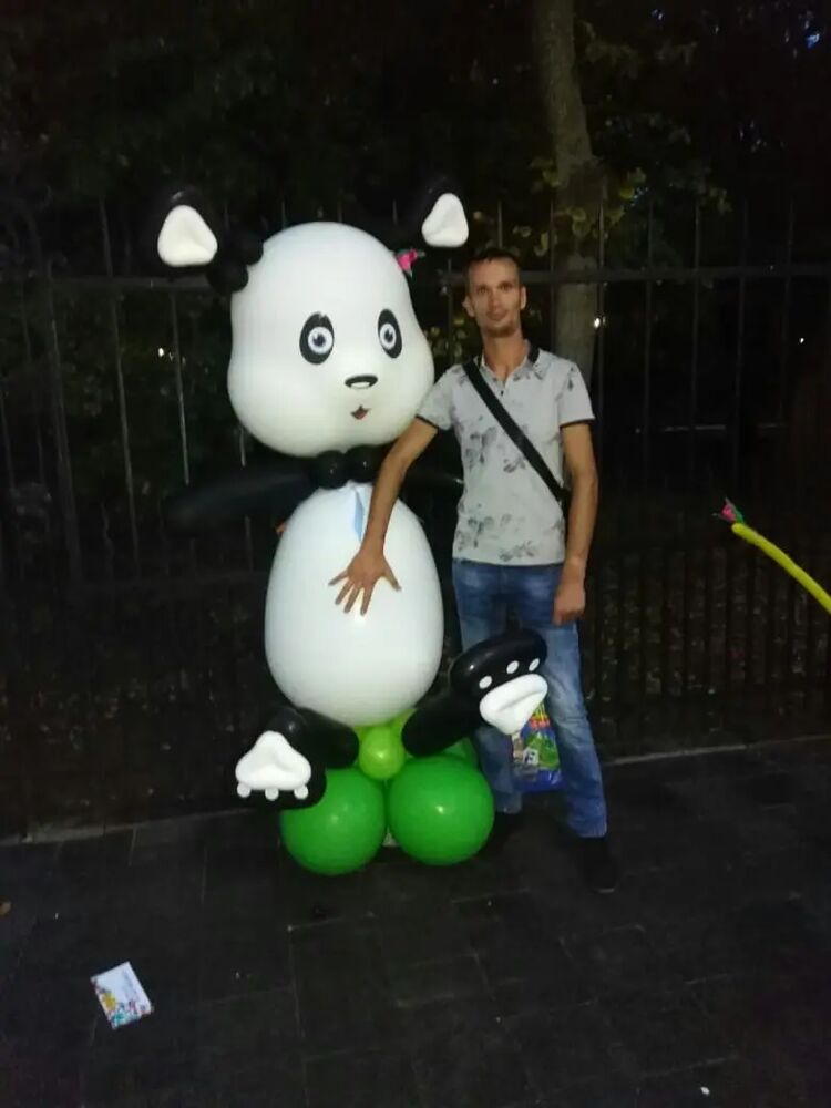 ���� 44168831 ������� ������, 36 ���, ���� ���������� � ����������