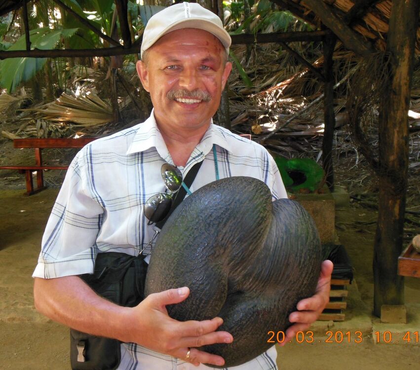  4125071  Anatol, 55 ,    