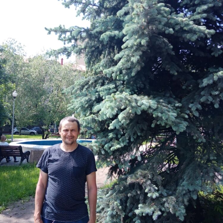 ���� 41535221 ������� ����, 38 ���, ���� ���������� � ������