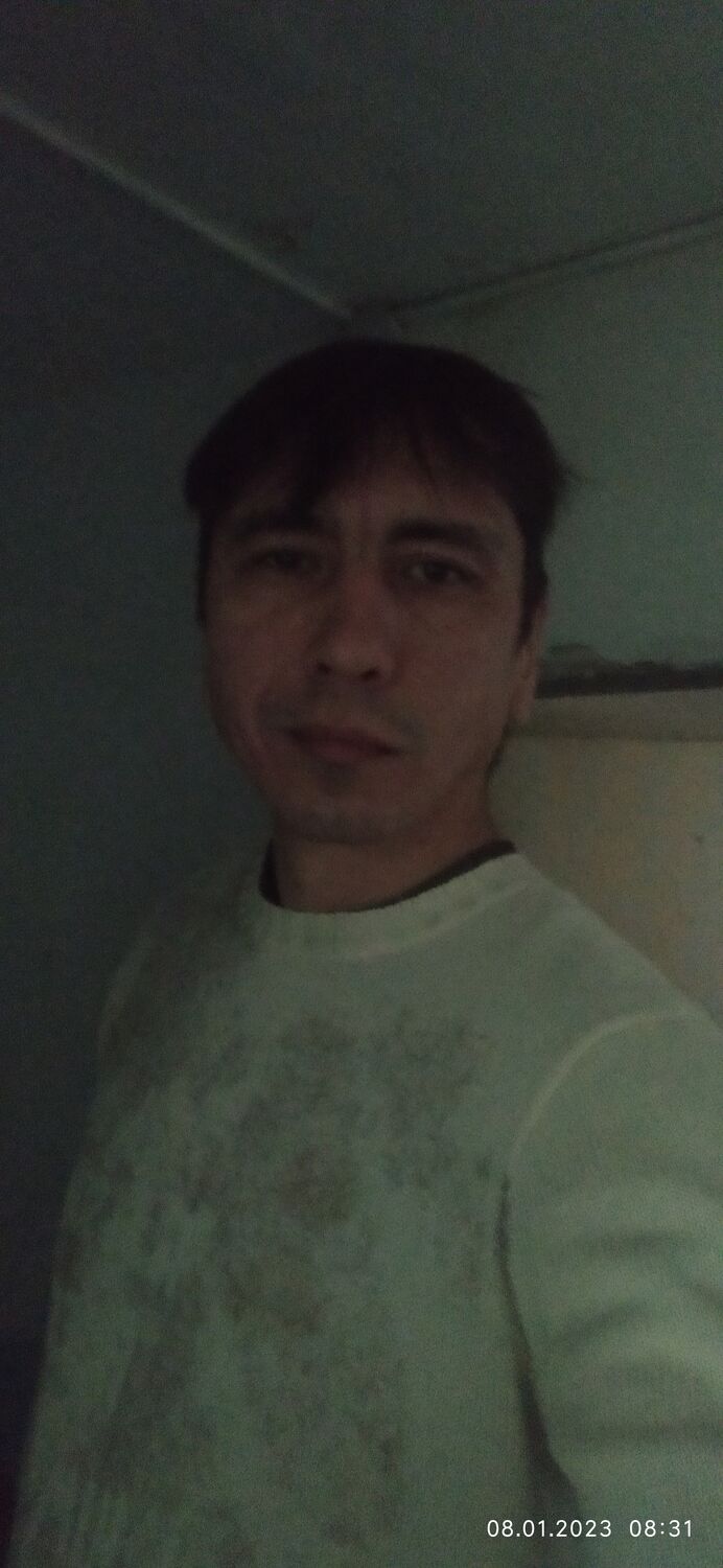  31763731  , 44 ,    