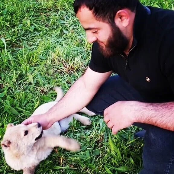 ���������� ������, ���� ������� ����, 31 ���, ������������ ��� ������, ����� � ���������