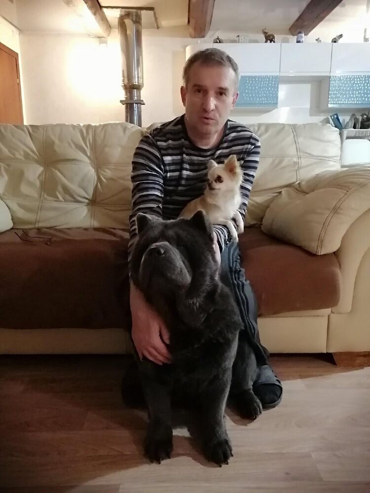 ���� 55715731 ������� �����, 56 ���, ���� ���������� � ���������