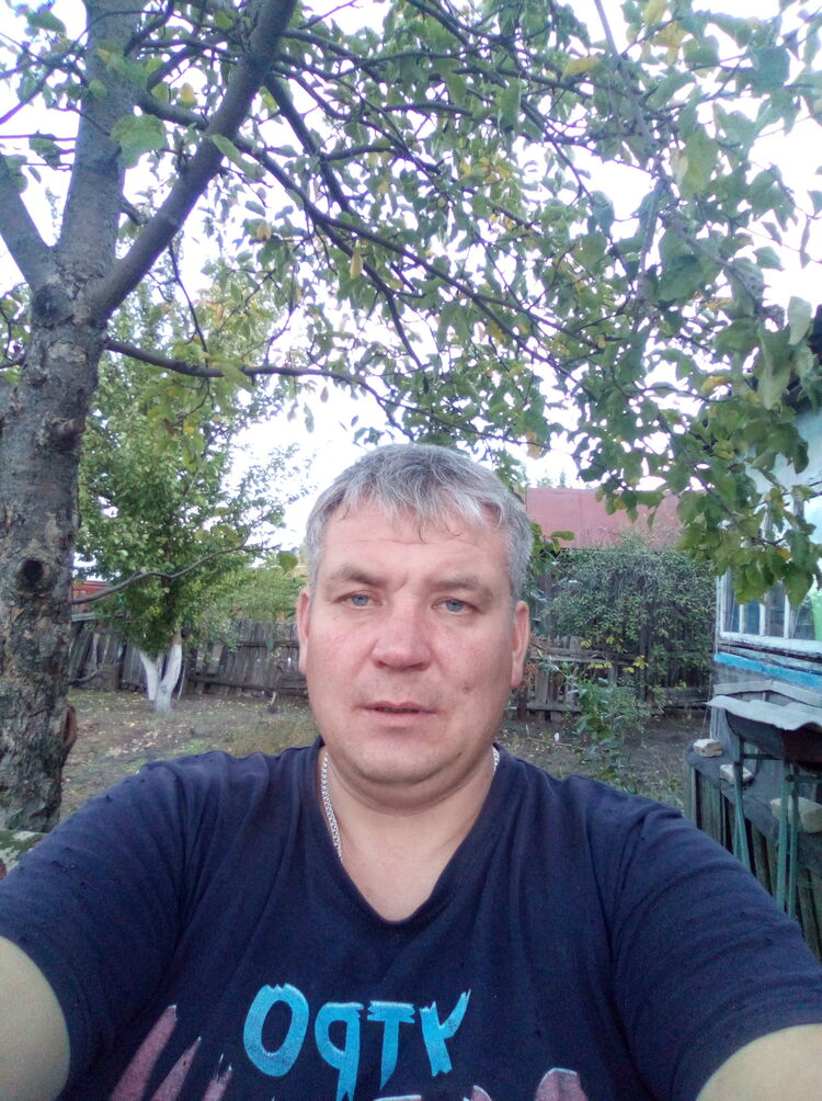 ���� 29597391 ������� �������, 43 ����, ���� ���������� � ��������